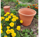 Poterie de jardin : Pot Terracotta