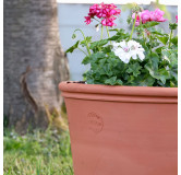 Poterie de jardin : Pot Terracotta