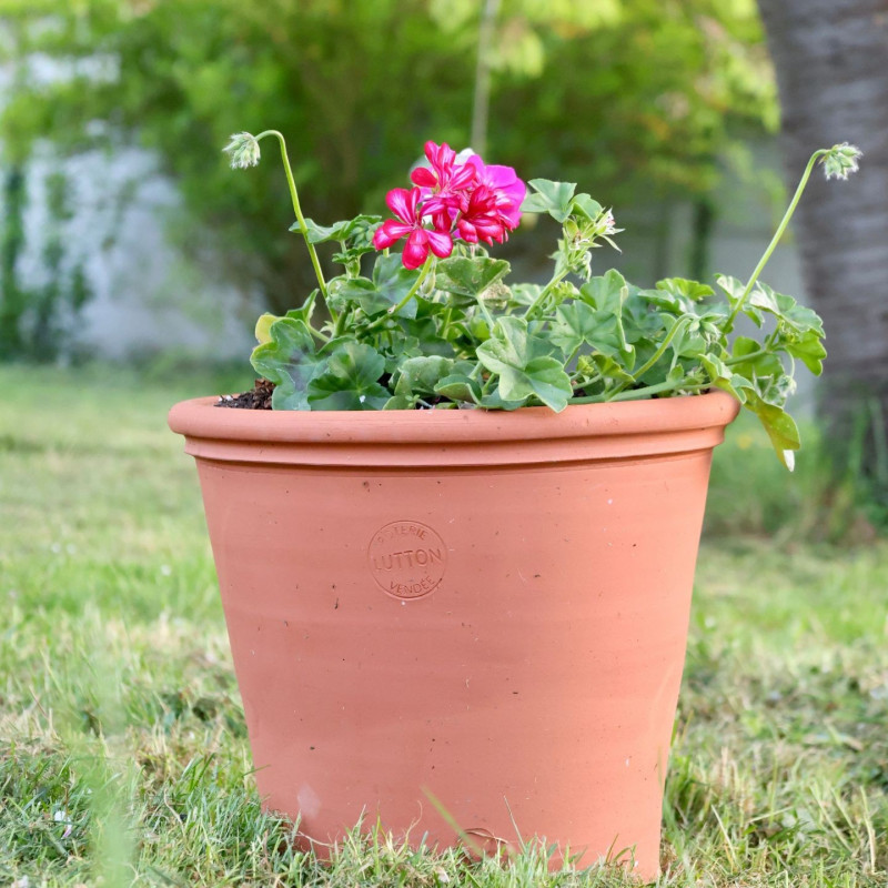 Poterie de jardin : Pot Terracotta