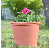 Poterie de jardin : Pot Terracotta
