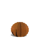 Cactus Boule