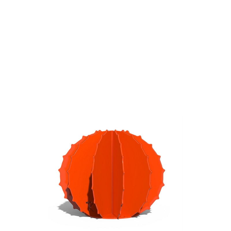 Cactus Boule
