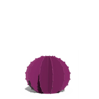 Cactus Boule