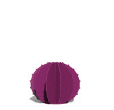 Cactus Boule