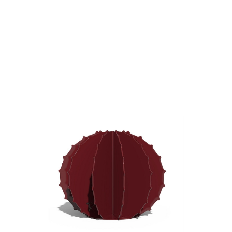 Cactus Boule