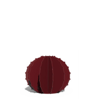 Cactus Boule