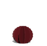 Cactus Boule