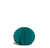 Cactus Boule