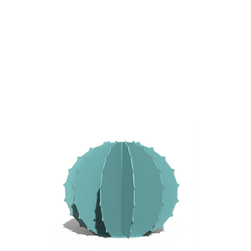 Cactus Boule