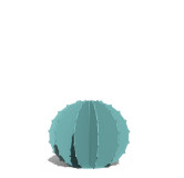 Cactus Boule