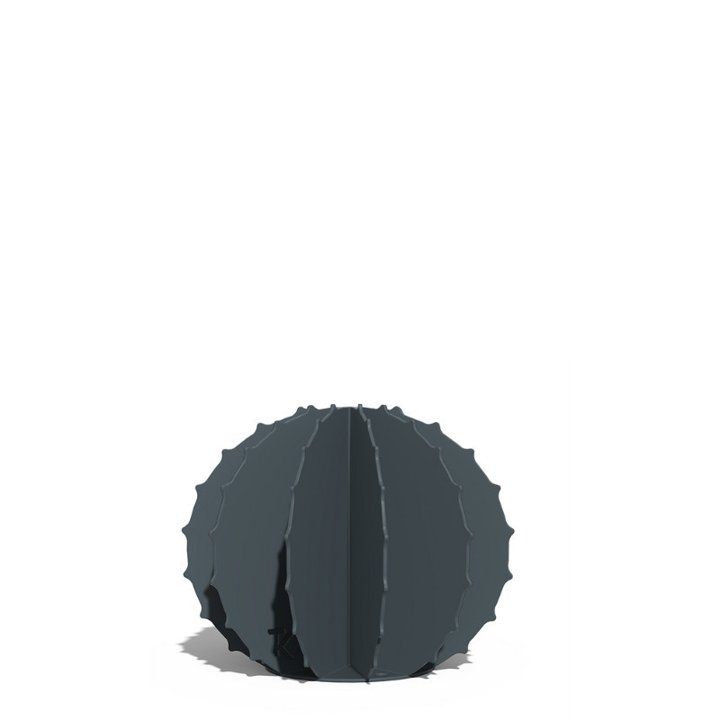 Cactus Boule
