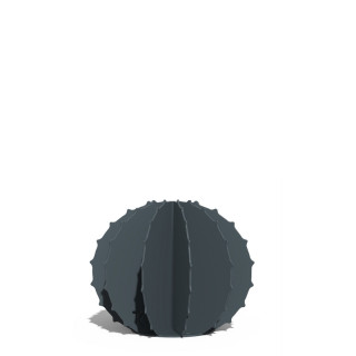 Cactus Boule