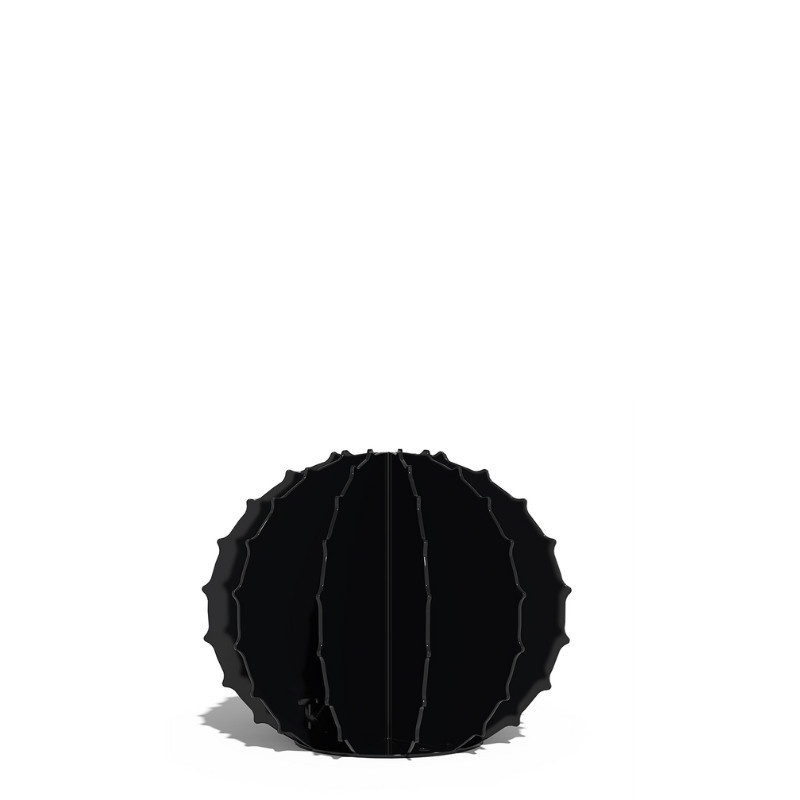 Cactus Boule