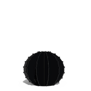 Cactus Boule