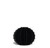 Cactus Boule