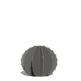 Cactus Boule