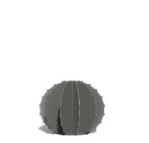 Cactus Boule