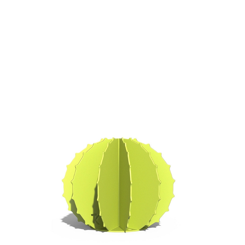 Cactus Boule