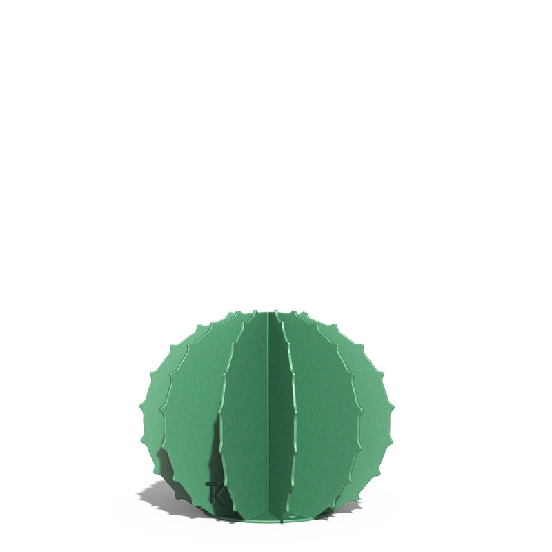 Cactus Boule