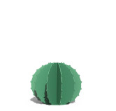 Cactus Boule