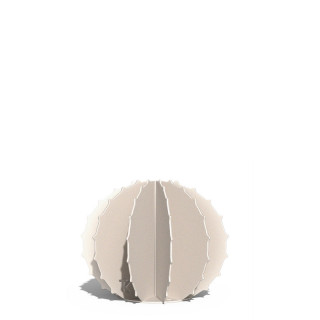 Cactus Boule